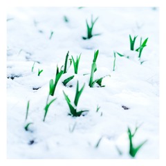 AE1BCCFF-D88E-4527-8A50-B7FF3A101582/L0/001