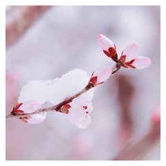 F7D15AEB-ABCF-4398-9B18-F3DE02DE9C0B/L0/001