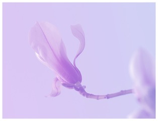 FC4C7A25-18BF-4506-8B09-E6E79D6AC07D/L0/001