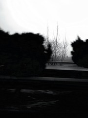 564488