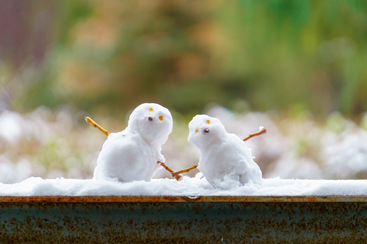 雪人兄弟 - gleaner_lin - 图虫