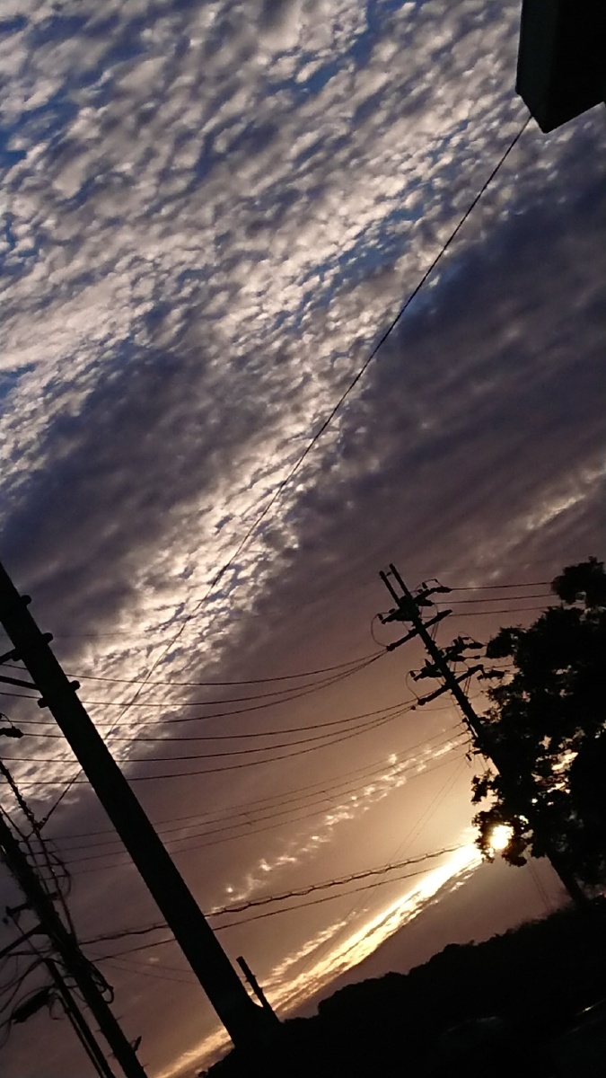 台风过后又看到了鸡皮疙瘩云希望你过得好和照片一样好不用ps也是暖