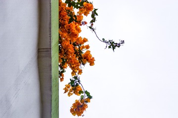 1570606
