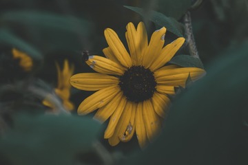 1605460