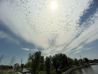 80361FA4-48E0-4328-9534-66194755FF68/L0/001