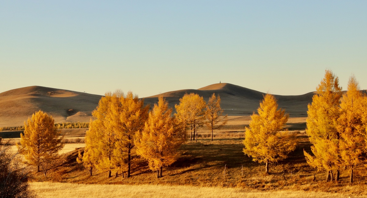 木兰围场的秋 美丽至极 - homage1121 - 图虫