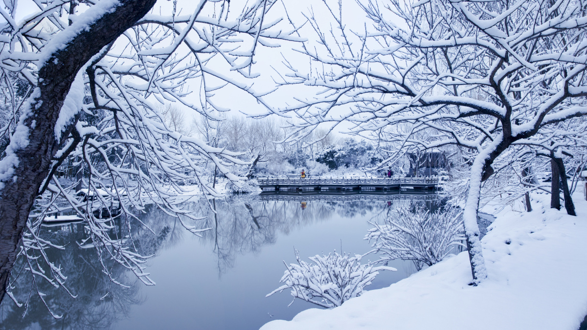 2019年春节在扬州旅行时所拍瘦西湖雪景