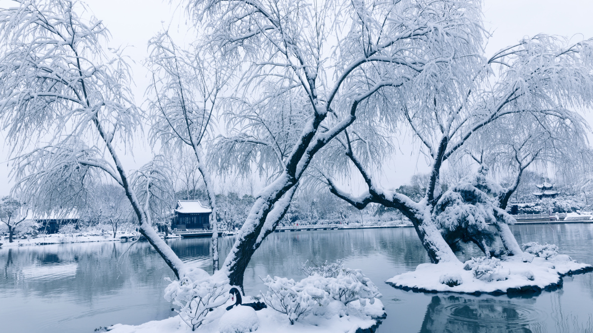 2019年春节在扬州旅行时所拍瘦西湖雪景