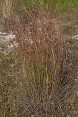 IMG_1336.jpg