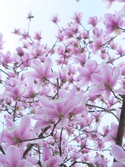 A7706C54-23D1-42D1-A5AE-F2DADC708593/L0/001