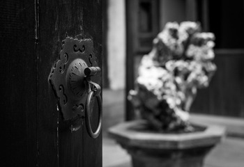 L1023495-1.jpg