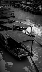 L1023504-1.jpg