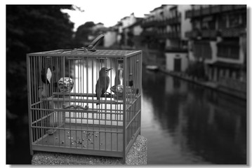 IMG_9502中