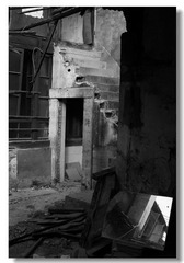 IMG_6147-M.jpg