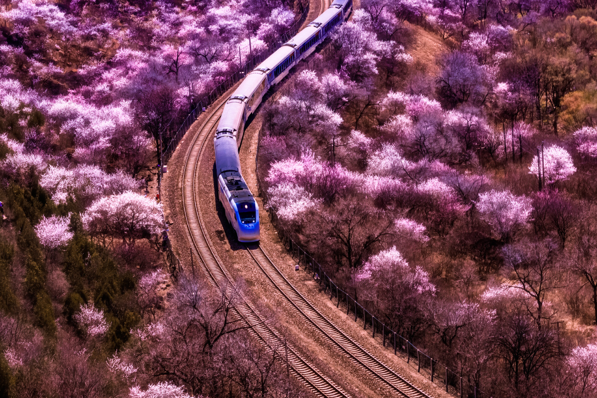 春天的列车适马镜头56mmf14eosm卡口2021年3月21日北京市