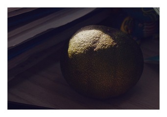 303273