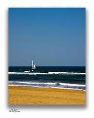 风景 (88).jpg