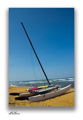 风景 (89).jpg