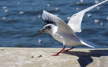 ZFY_2356.jpg