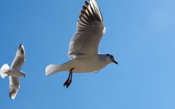 ZFY_2367.jpg