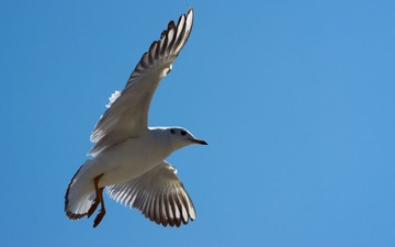 ZFY_2410.jpg
