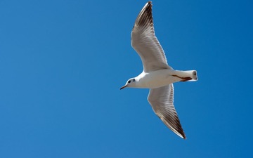 ZFY_2443.jpg