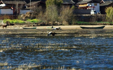 ZFY_2809.jpg
