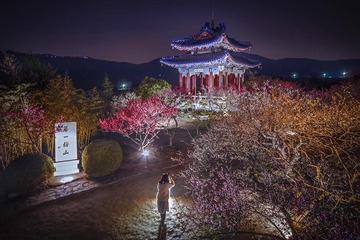 IMG_2610-