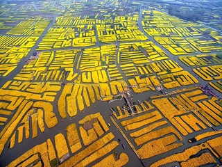DJI_0034-1
