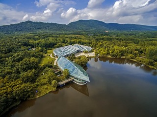 DJI_0022-zwy
