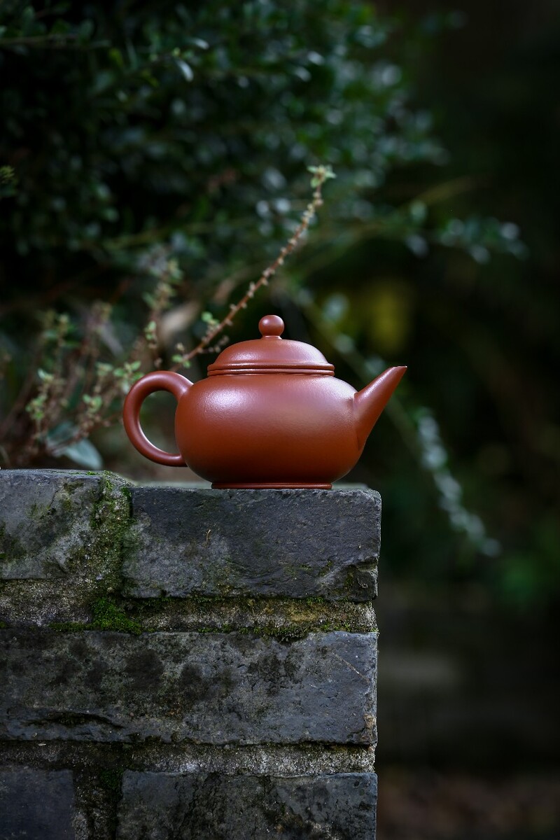 养壶用什么茶