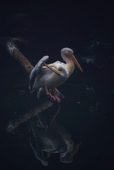 2060297