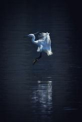 2040508
