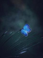 1928015