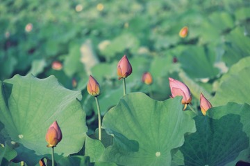 C82F78AB-A644-4588-B855-959C238C2E6F/L0/001