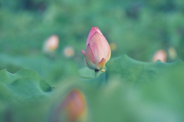76DB2C5E-6F78-40F7-B606-CA9267D4DBDE/L0/001