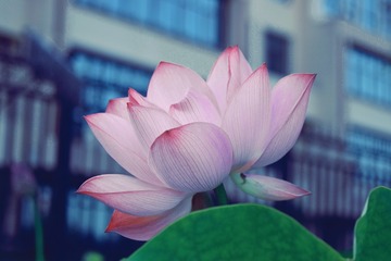 54BDCEA3-1718-4AD1-89FC-404E2742EB49/L0/001