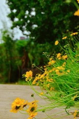 604EF787-CA46-420F-B711-1D9C31AD707E/L0/001