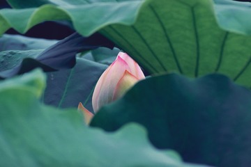 86168ED5-61BA-46F0-A615-727BEE3A4EB8/L0/001