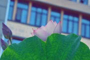 D47543B0-5B31-4455-B1E9-9A30B078AAB5/L0/001