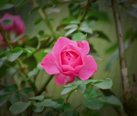 2D697C4A-1AE5-421A-92BC-E0D9A5DA7D89/L0/001