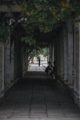 4590506