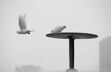 DSC_0784.jpg