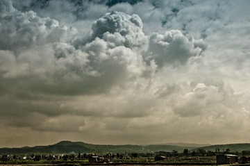 _DSC0796