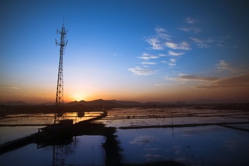 _6004616