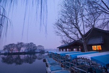 _6005362