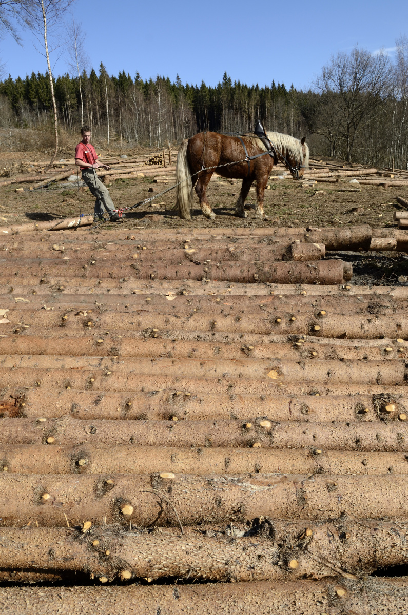 它对我笑 还有兔子牙 笑死我了 br /> 表情搞怪的羊<br /&amp