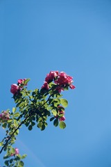 C408F89C-7312-4180-9BFB-131D4EA34EA8/L0/001