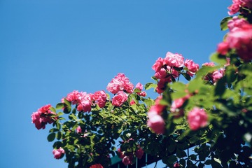 671E6D5D-E926-4BDB-95BB-2ECB54A45C46/L0/001