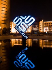P8289236